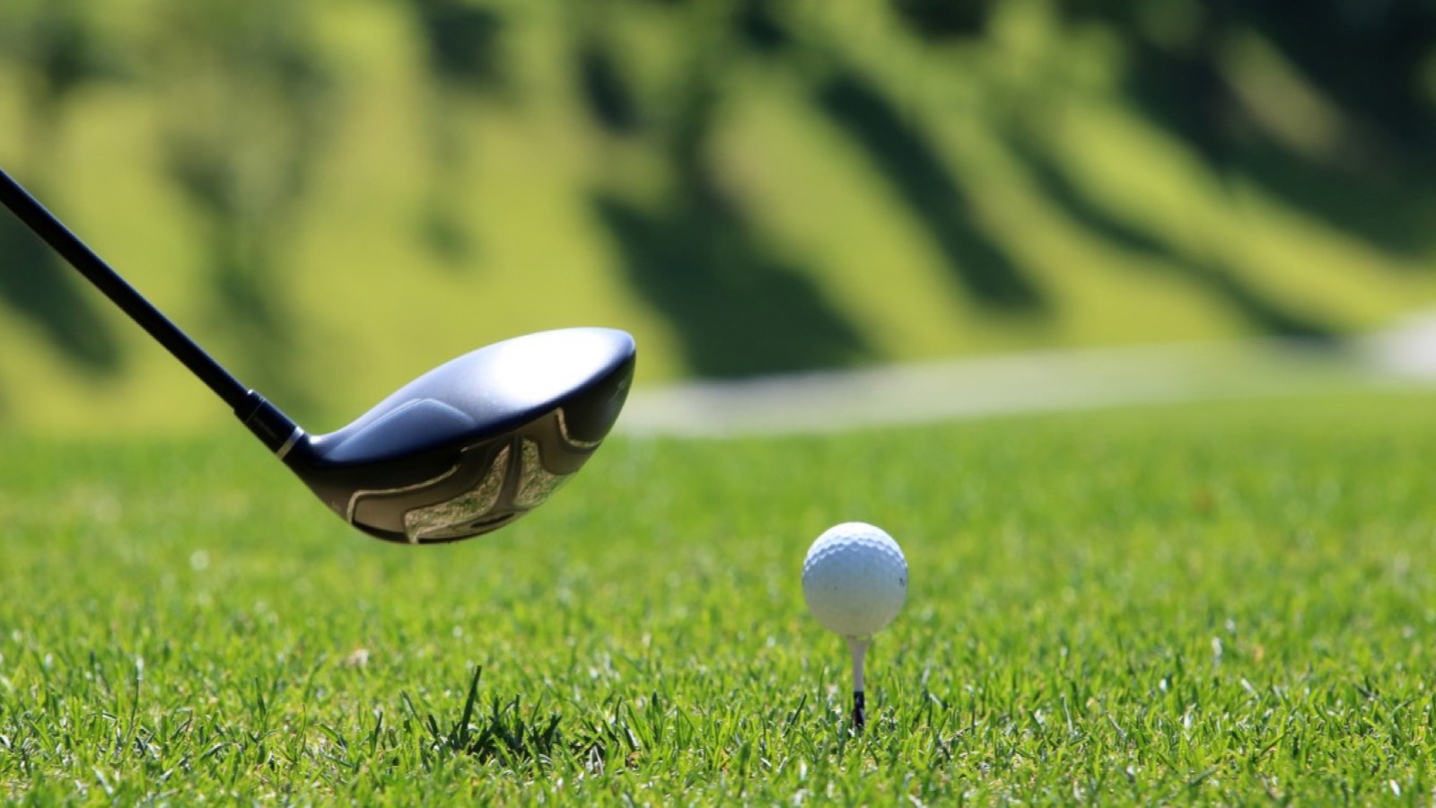 Colorado Street Carson City NV best-value retirement homes near downtown and Eagle Valley golf — 2026